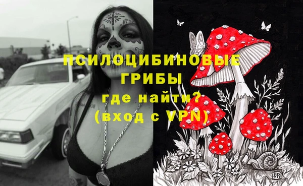 амф Алексин