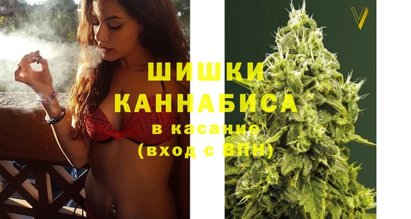 ГАЛЛЮЦИНОГЕННЫЕ ГРИБЫ Абаза