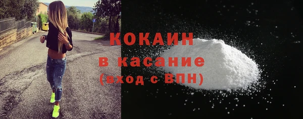 ГАЛЛЮЦИНОГЕННЫЕ ГРИБЫ Абаза